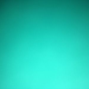 Meet your Posher, Annette